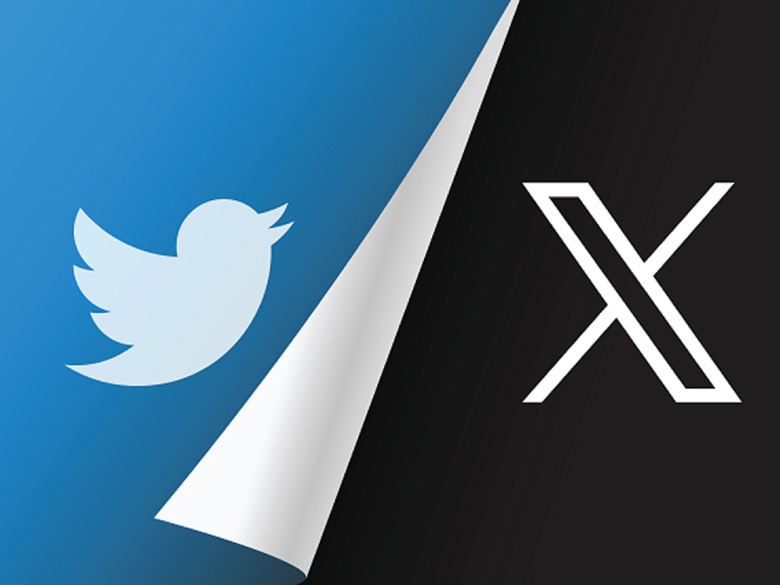变废为宝！254公斤Twitter小蓝鸟LOGO找到了新主人